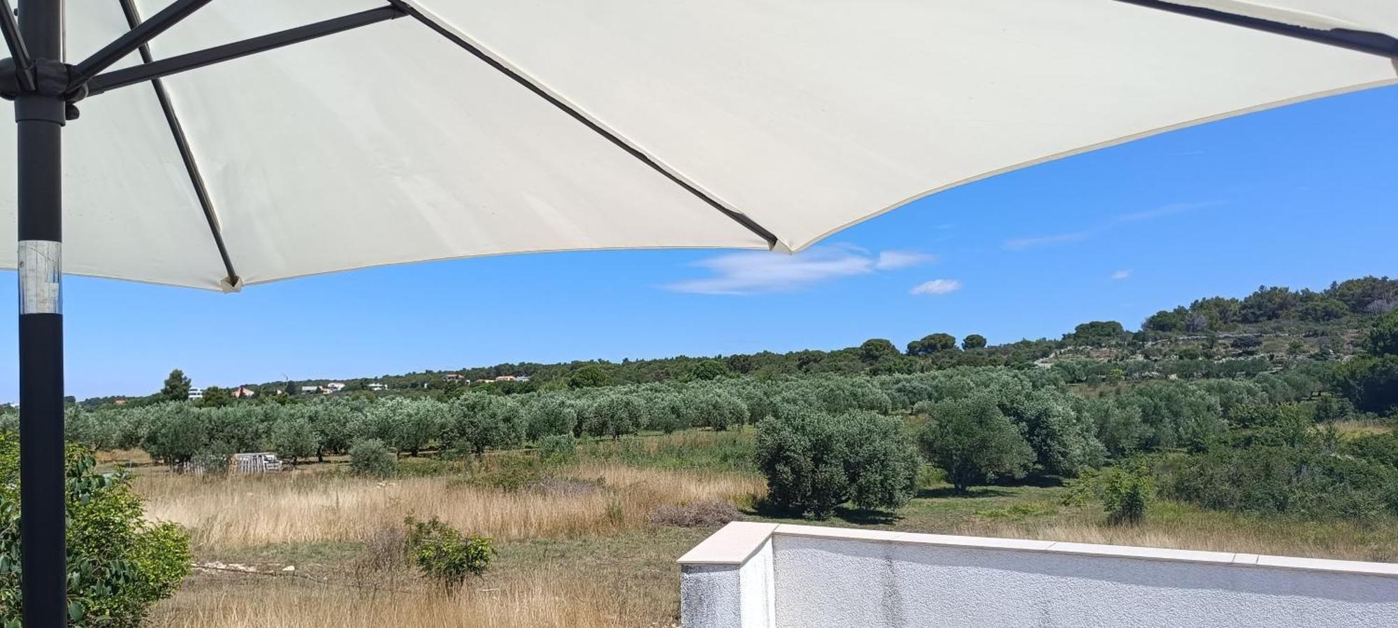 Apartmani Verde Zadar Extérieur photo