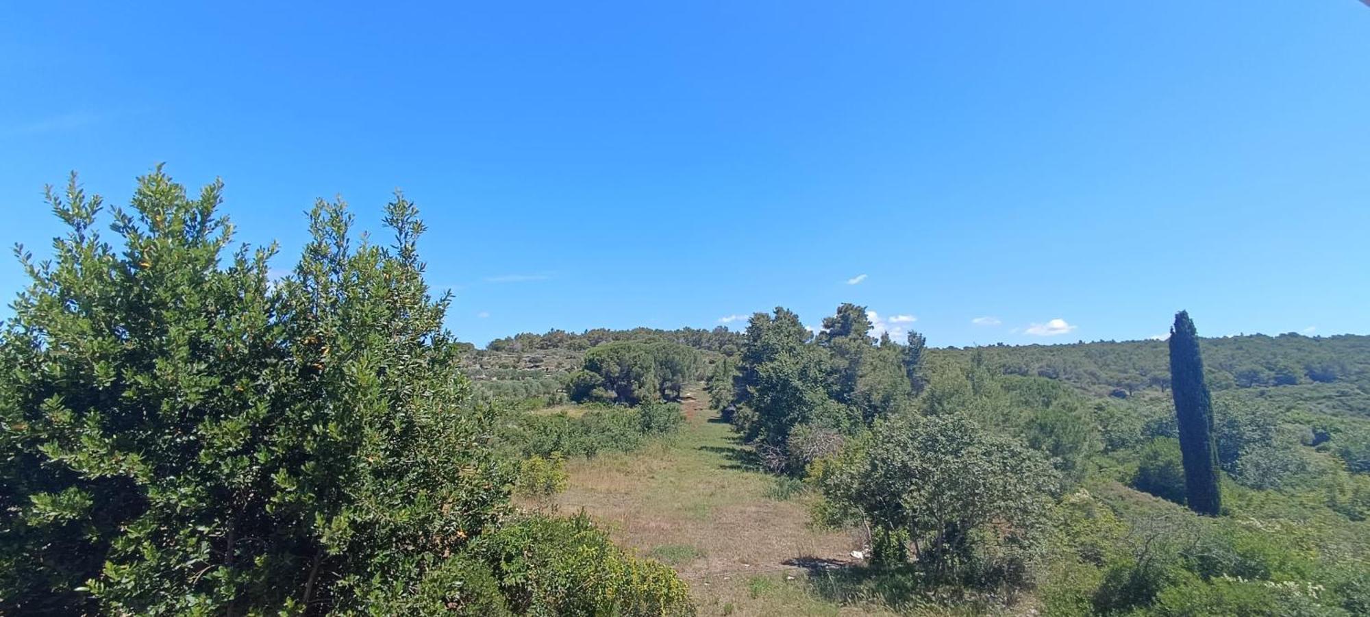 Apartmani Verde Zadar Extérieur photo