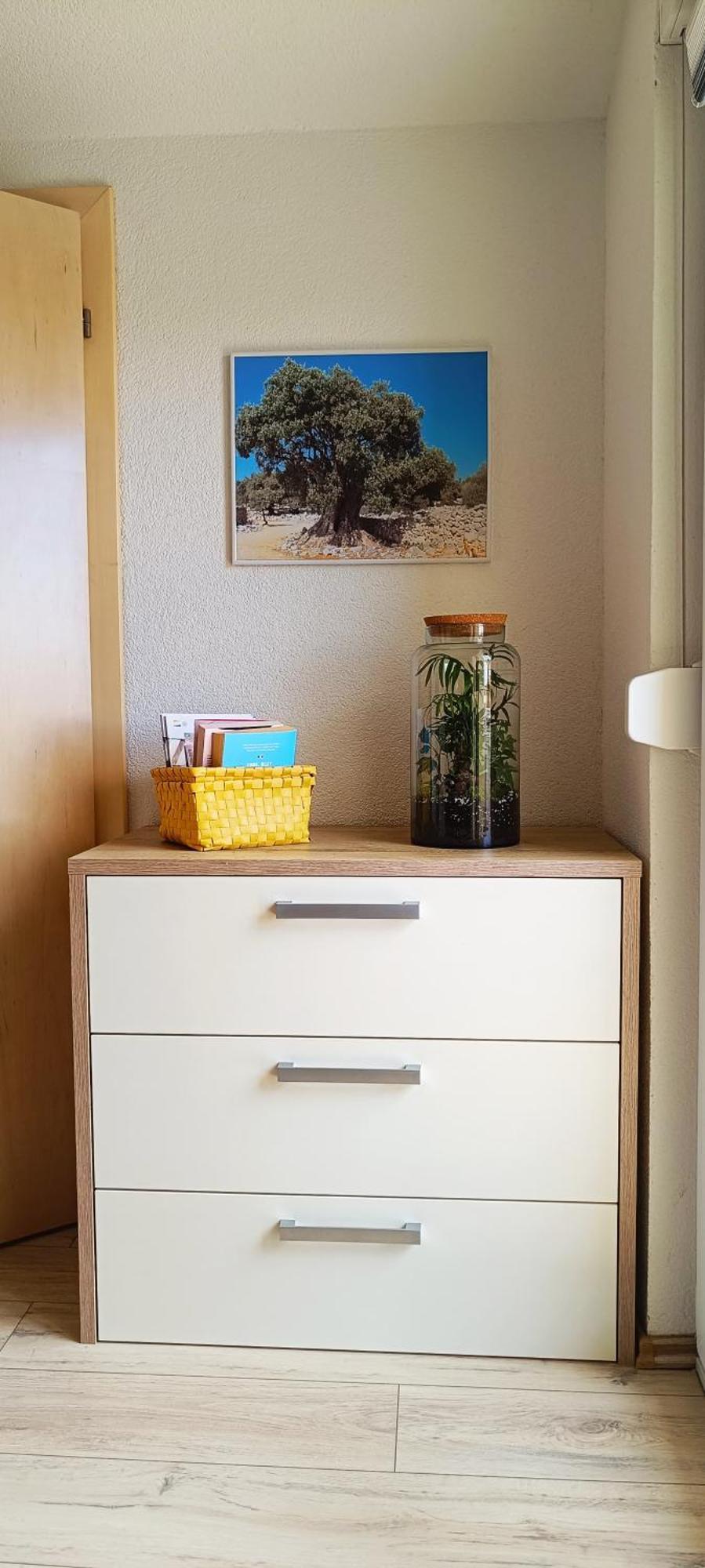 Apartmani Verde Zadar Extérieur photo